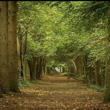 Holly Hut Shepherds Hut Alojamento de Turismo Selvagem Jenkinstown Park