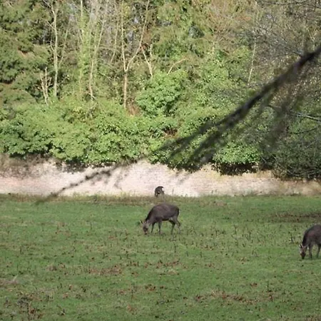 Holly Hut Shepherds Hut Lodge *