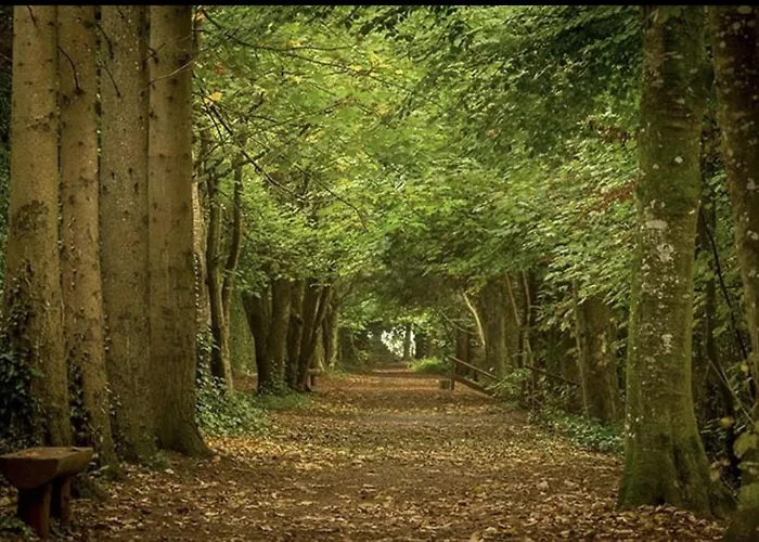 Holly Hut Shepherds Hut Lodge Jenkinstown Park