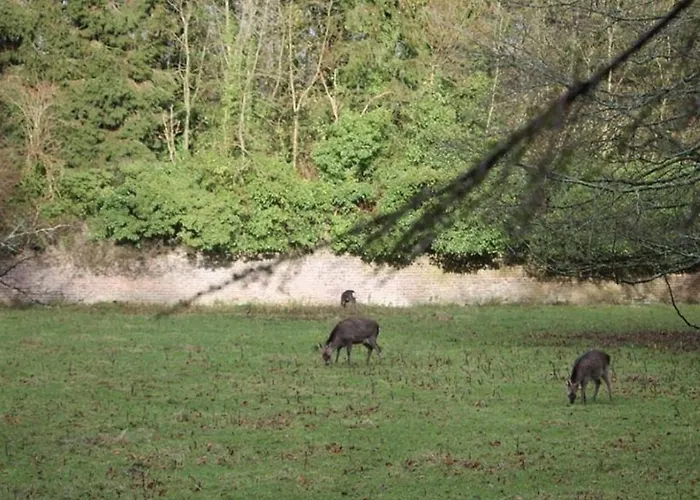 Holly Hut Shepherds Hut Lodge *